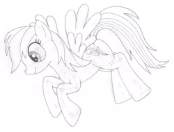 Size: 1506x1142 | Tagged: safe, artist:aafh, derpibooru import, rainbow dash, monochrome, solo, traditional art