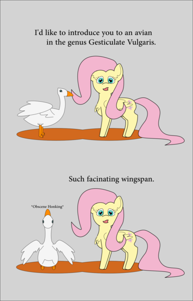 Size: 1161x1806 | Tagged: safe, artist:planetkiller, derpibooru import, fluttershy, goose, pegasus, pony, animal, chest fluff, comic, descriptive noise, meme, misspelling, simple background, text, vulgar