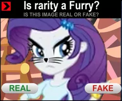 Size: 715x593 | Tagged: safe, artist:sambohhh, artist:sammifx, derpibooru import, rarity, equestria girls, alternate universe, angry, clothes, costume, eqg promo pose set, equestria girls: the parody series, furry, has science gone too far?, image macro, meme, real or fake, solo, unamused, upset, whiskers