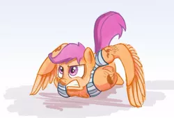 Size: 624x425 | Tagged: derpibooru import, military, push-ups, russian, safe, scootaloo, solo, tattoo, vdv, wing-ups