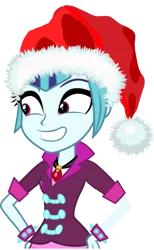 Size: 625x1016 | Tagged: safe, derpibooru import, sonata dusk, equestria girls, rainbow rocks, christmas, hat, ponytail, purple eyes, santa hat, simple background, smiling, solo, transparent background