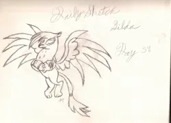 Size: 2082x1496 | Tagged: safe, artist:silversthreads, derpibooru import, gilda, gryphon, daily sketch, sketch, solo, traditional art