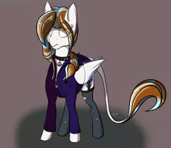 Size: 2001x1725 | Tagged: safe, artist:epicenehs, derpibooru import, oc, oc:apalis, unofficial characters only, pegasus, pony, bell, bell collar, choker, clothes, collar, female, girdle, hoodie, simple background, socks, solo, torn socks, unamused