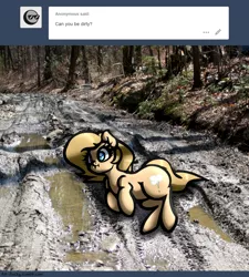 Size: 1280x1420 | Tagged: artist:slavedemorto, ask, derpibooru import, irl, mud, oc, oc:backy, photo, ponies in real life, pun, safe, solo, tumblr, unofficial characters only