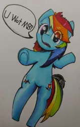 Size: 2104x3308 | Tagged: safe, artist:mr.candy_owo, derpibooru import, rainbow dash, pegasus, pony, dialogue, female, mare, marker drawing, simple background, solo, speech bubble, traditional art, u wot m8, white background