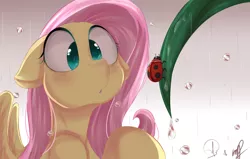 Size: 1700x1080 | Tagged: safe, artist:phuocthiencreation, derpibooru import, fluttershy, ladybug, pegasus, pony, :o, blushing, cute, female, floppy ears, looking at something, ooh, open mouth, rain, shyabetes, signature, solo, wet mane