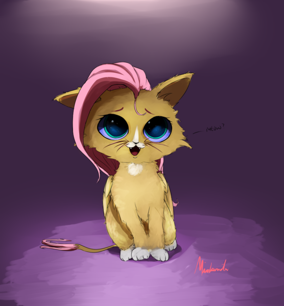 Size: 1000x1080 | Tagged: artist:miokomata, cat, catified, cute, derpibooru import, fluttercat, fluttershy, hnnng, kitten, looking at you, open mouth, safe, shyabetes, solo, species swap
