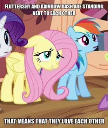 Size: 372x438 | Tagged: safe, derpibooru import, edit, edited screencap, screencap, fluttershy, rainbow dash, rarity, pegasus, pony, unicorn, image macro, insane troll logic, meme, needs more jpeg, observation, ponies standing next to each other