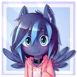 Size: 650x650 | Tagged: safe, artist:apony, derpibooru import, oc, unofficial characters only, pegasus, pony, semi-anthro, bust, clothes, collar, ear fluff, hoodie, looking at you, piercing, portrait, solo