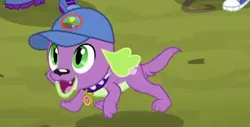 Size: 372x189 | Tagged: safe, derpibooru import, screencap, spike, spike the regular dog, dog, equestria girls, legend of everfree, cap, converse, hat, shoes, solo