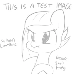 Size: 1080x1080 | Tagged: safe, artist:tjpones, derpibooru import, limestone pie, earth pony, pony, angry, crossed hooves, cute, female, grayscale, limabetes, monochrome, nose wrinkle, pun, scrunchy face, simple background, sketch, solo, test, white background