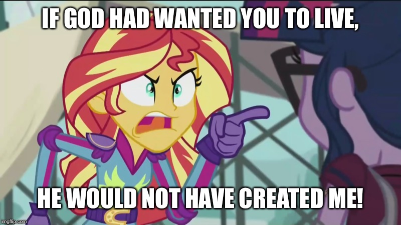 Size: 800x450 | Tagged: safe, derpibooru import, edit, edited screencap, screencap, sci-twi, sunset shimmer, twilight sparkle, equestria girls, friendship games, angry, exploitable meme, god, image macro, imminent murder, meme, soldier, sunset yells at twilight, team fortress 2