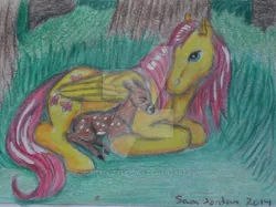 Size: 600x449 | Tagged: artist:spiritedlittlepony, deer, derpibooru import, fawn, fluttershy, safe, solo, traditional art, watermark