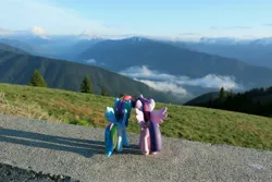 Size: 5472x3648 | Tagged: safe, artist:grandmoffpony, derpibooru import, rainbow dash, twilight sparkle, twilight sparkle (alicorn), alicorn, pony, absurd resolution, evergreen tree, female, hurricane ridge, irl, lesbian, olympic national park, photo, ponies around the world, shipping, toy, tree, twidash, washington (state)