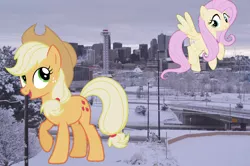 Size: 1280x852 | Tagged: safe, artist:90sigma, artist:laczkour, artist:logan859, derpibooru import, applejack, fluttershy, pony, colorado, denver, giant pony, highrise ponies, irl, macro, photo, ponies in real life