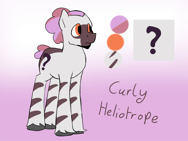 Size: 1600x1200 | Tagged: artist:timidwithapen, derpibooru import, oc, oc:curly heliotrope, reference sheet, safe, solo, unofficial characters only, zebra