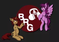 Size: 1280x905 | Tagged: safe, artist:charrez, derpibooru import, oc, oc:lucy light, oc:mary rose, unofficial characters only, pegasus, pony, unicorn, brony radio germany, cutie mark, female, flag, logo, wings