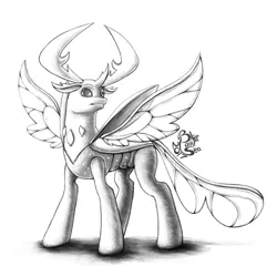 Size: 1000x1000 | Tagged: artist:blue-paint-sea, changedling, changeling, derpibooru import, king thorax, monochrome, safe, signature, simple background, sketch, solo, spread wings, thorax, to where and back again, white background