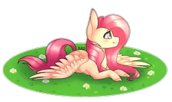 Size: 751x448 | Tagged: safe, artist:blitsazalisdash, artist:lnspira, color edit, derpibooru import, edit, fluttershy, pegasus, pony, collaboration, colored, flower, grass, prone, solo, spread wings