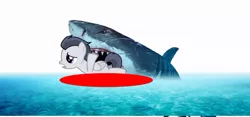 Size: 1024x479 | Tagged: semi-grimdark, artist:jawsandgumballfan24, derpibooru import, rumble, great white shark, pegasus, pony, shark, pony creator, abuse, blood, rumblebuse, simple background, white background