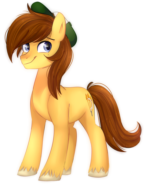 Size: 1024x1285 | Tagged: safe, artist:slasharu, derpibooru import, oc, oc:autumn harvey, unofficial characters only, earth pony, pony, cap, hat, male, simple background, solo, stallion, transparent background