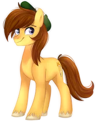 Size: 1024x1285 | Tagged: safe, artist:slasharu, derpibooru import, oc, oc:autumn harvey, unofficial characters only, earth pony, pony, cap, hat, male, simple background, solo, stallion, transparent background