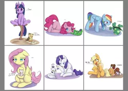 Size: 1984x1417 | Tagged: safe, artist:alasou, deleted from derpibooru, derpibooru import, angel bunny, applejack, fluttershy, gummy, opalescence, owlowiscious, pinkie pie, rainbow dash, rarity, tank, twilight sparkle, winona, alligator, cat, dog, owl, pony, rabbit, tortoise, :3, appledog, behaving like a cat, behaving like a dog, body swap, cowboy hat, cute, cutie mark swap, flutterpet, frown, funny, hat, licking, mane six, mouth hold, open mouth, prone, raricat, role reversal, simple background, sitting, smiling, species swap, standing, stetson, tongue out, twiabetes, unamused, upside down