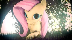 Size: 3840x2160 | Tagged: 3d, artist:melodycloud14, crossed legs, derpibooru import, fluttershy, grass, looking at you, poster, safe, solo, source filmmaker, tree