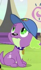 Size: 135x230 | Tagged: safe, derpibooru import, screencap, spike, spike the regular dog, dog, equestria girls, legend of everfree, cap, hat, looking up, male, paws, solo