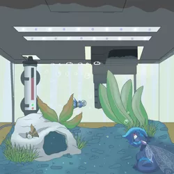 Size: 6000x6000 | Tagged: absurd resolution, artist:cloureed, derpibooru import, fish, fish tank, guppy, oc, oc:wandering rift, safe, skimmer, underwater, unofficial characters only