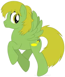 Size: 794x942 | Tagged: safe, artist:mintystitch, derpibooru import, oc, oc:limelight, unofficial characters only, pegasus, pony, simple background, solo, transparent background