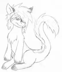 Size: 1515x1754 | Tagged: safe, artist:wesleyfoxx, derpibooru import, oc, oc:wesley foxx, ponified, unofficial characters only, monster pony, original species, pony, tatzlpony, chest fluff, lidded eyes, looking at you, monochrome, pencil drawing, sitting, sketch, traditional art, unshorn fetlocks