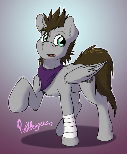 Size: 1500x1826 | Tagged: safe, artist:punk-pegasus, derpibooru import, oc, oc:menzing, unofficial characters only, pegasus, pony, bandage, bandana, chest fluff, piercing, punk, raised hoof, signature, solo