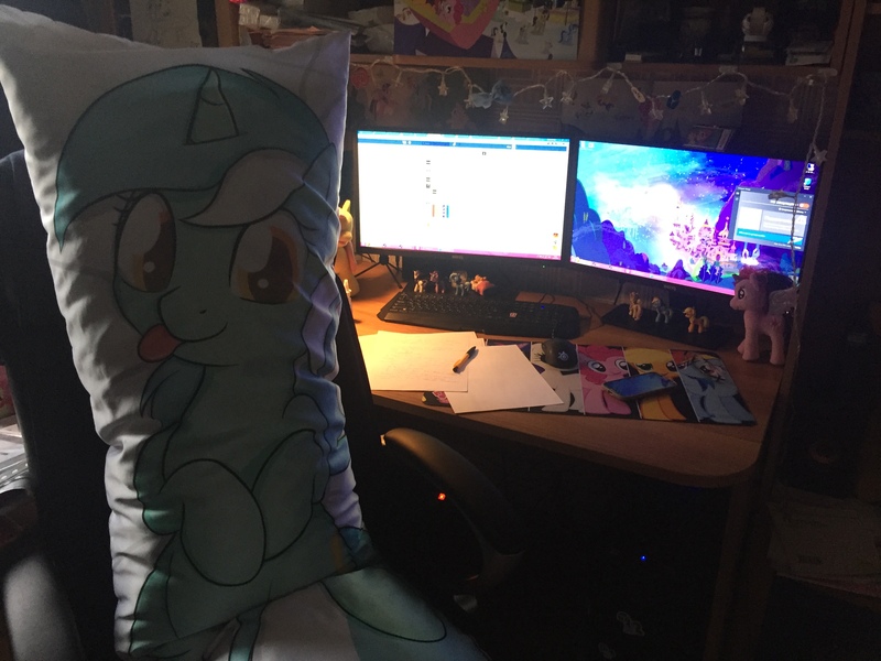 Size: 3264x2448 | Tagged: safe, artist:silly-filly1337, derpibooru import, lyra heartstrings, body pillow, computer, google chrome, irl, photo, windows, windows 8.1