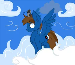 Size: 2199x1899 | Tagged: safe, artist:paskanaakka, derpibooru import, oc, oc:bizarre song, unofficial characters only, bird, pegasus, pony, chest fluff, cloud, ear fluff, sky, solo, spread wings, wings