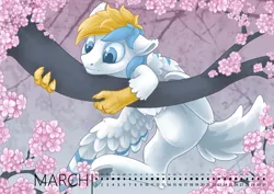 Size: 1000x707 | Tagged: safe, artist:arctic-fox, derpibooru import, oc, oc:cirrus sky, unofficial characters only, hippogriff, hybrid, calendar, cherry blossoms, claws, cute, floppy ears, flower, flower blossom, male, solo, stallion, tree