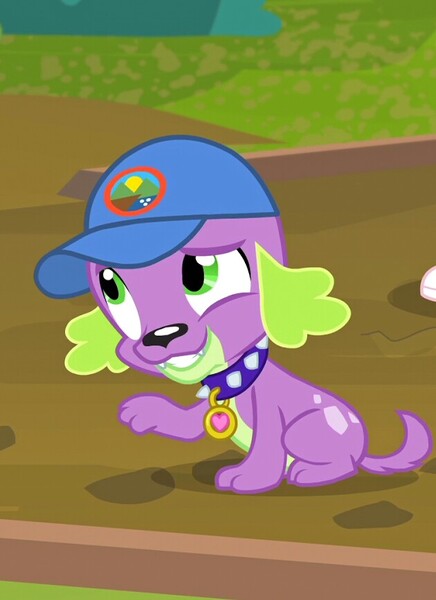 Size: 630x866 | Tagged: safe, derpibooru import, spike, spike the regular dog, dog, equestria girls, legend of everfree, cap, hat, smiling, solo