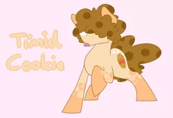 Size: 1468x1005 | Tagged: safe, artist:timidwithapen, derpibooru import, oc, oc:timid cookie, unofficial characters only, earth pony, pony, ponysona, reference sheet, solo