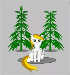 Size: 1323x1419 | Tagged: safe, artist:planetkiller, derpibooru import, oc, oc:high wind chimes, unofficial characters only, pony, drugs, looking at you, marijuana, plant, simple background, sitting, solo, underhoof