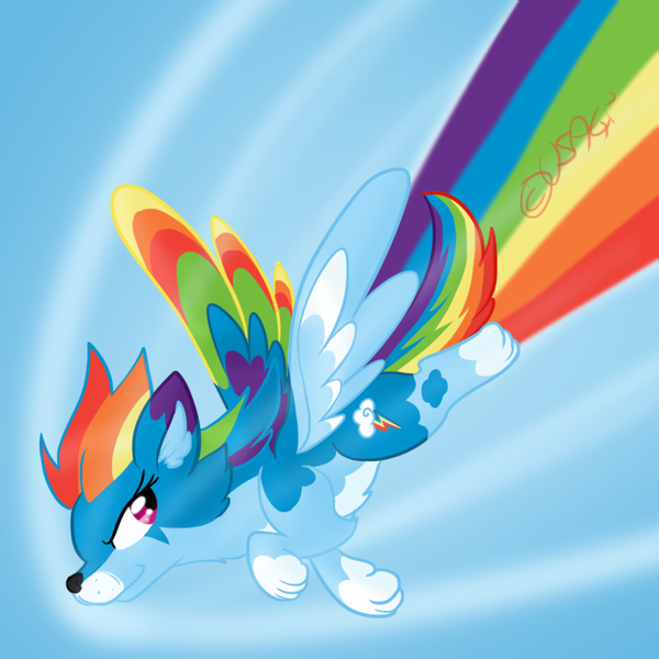 Size: 1024x1024 | Tagged: safe, artist:usagi-zakura, derpibooru import, rainbow dash, wolf, flying, my little wolf, solo, species swap