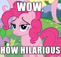 Size: 344x316 | Tagged: deadpan snarker, derpibooru import, edit, edited screencap, image macro, meme, pinkie pie, pinkie pie is not amused, reaction image, safe, sarcasm, screencap, unamused, unimpressed, when she doesn't smile