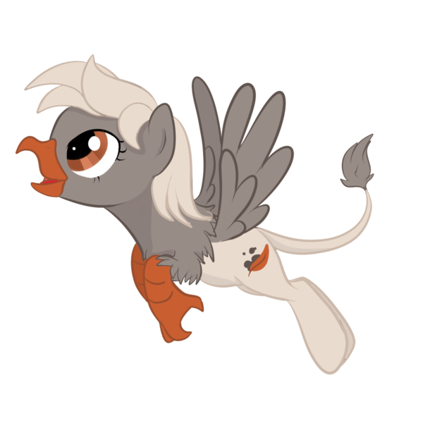 Size: 1000x1000 | Tagged: safe, artist:memesquid, derpibooru import, oc, oc:quillian, unofficial characters only, classical hippogriff, hippogriff, solo