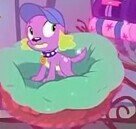 Size: 136x129 | Tagged: safe, derpibooru import, screencap, spike, spike the regular dog, dog, equestria girls, legend of everfree, bed, cap, hat, looking around, solo