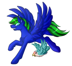 Size: 4441x4052 | Tagged: safe, artist:amazing-artsong, derpibooru import, oc, oc:bruce, oc:circuit breaker, unofficial characters only, bird, pegasus, pony, absurd resolution, colored pupils, flying, male, non-mlp oc, simple background, spread wings, stallion, transparent background