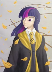 Size: 1300x1790 | Tagged: artist:jaeneth, crossover, derpibooru import, harry potter, hogwarts, hufflepuff, human, humanized, leaves, safe, solo, twilight sparkle