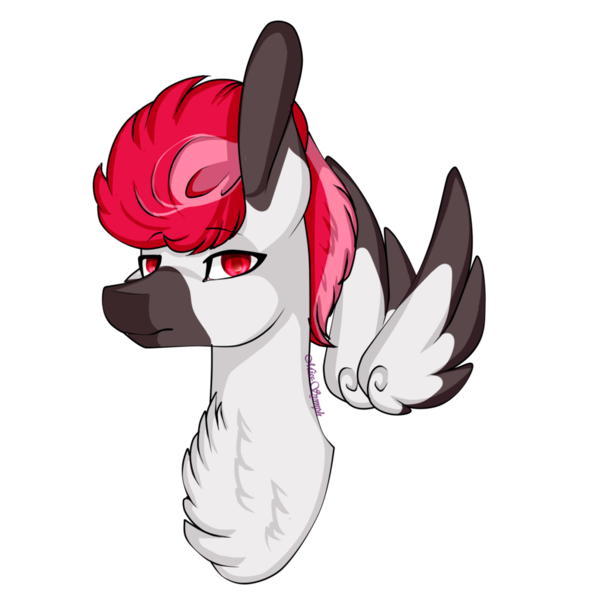 Size: 1024x1024 | Tagged: safe, artist:xxmissteaxx, derpibooru import, oc, oc:bloodbath, unofficial characters only, pegasus, pony, bust, chest fluff, floating wings, male, portrait, simple background, solo, stallion, transparent background