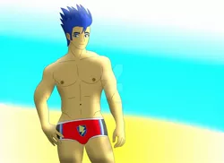 Size: 1600x1163 | Tagged: suggestive, artist:supermaxx92, derpibooru import, flash sentry, equestria girls, briefs, clothes, crotch bulge, male, model, partial nudity, sexy, solo, solo male, speedo, swimsuit, topless, underwear