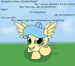 Size: 500x442 | Tagged: safe, artist:cybersquirrel, derpibooru import, oc, oc:dewshine dawnlight, unofficial characters only, pegasus, pony, female, solo, tumblr