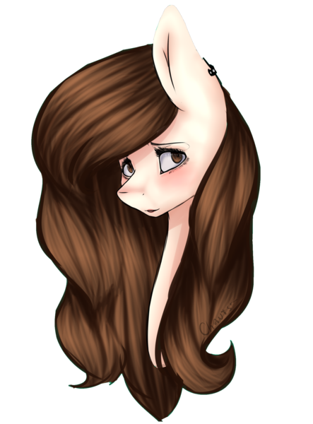 Size: 3100x4200 | Tagged: safe, artist:yeadatchantilly, derpibooru import, oc, unofficial characters only, earth pony, pony, absurd resolution, bust, female, mare, portrait, simple background, solo, transparent background