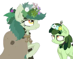 Size: 1189x958 | Tagged: safe, artist:paskanaakka, derpibooru import, oc, oc:bittergreen, oc:sweetleaf, unofficial characters only, earth pony, pony, chest fluff, cloak, clothes, duo, ear fluff, female, filly, floral head wreath, flower, freckles, raised hoof, simple background, sisters, transparent background, unshorn fetlocks